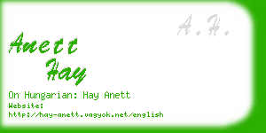 anett hay business card